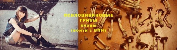 a pvp Алексин