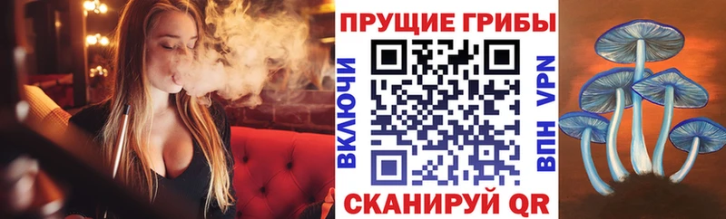 Псилоцибиновые грибы GOLDEN TEACHER  Осташков 